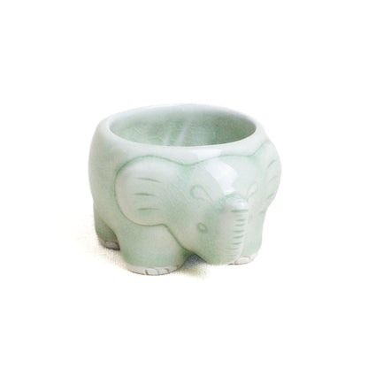 Tea Cup, Elephant